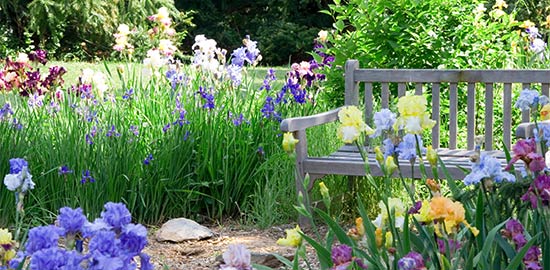 Gärtnerei Trögl in Ingolstadt - Ihr Gärtnerei für Gartenarbeiten in Ingolstadt